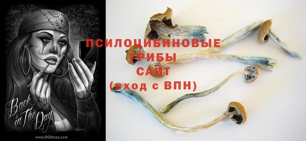 трава Богородицк